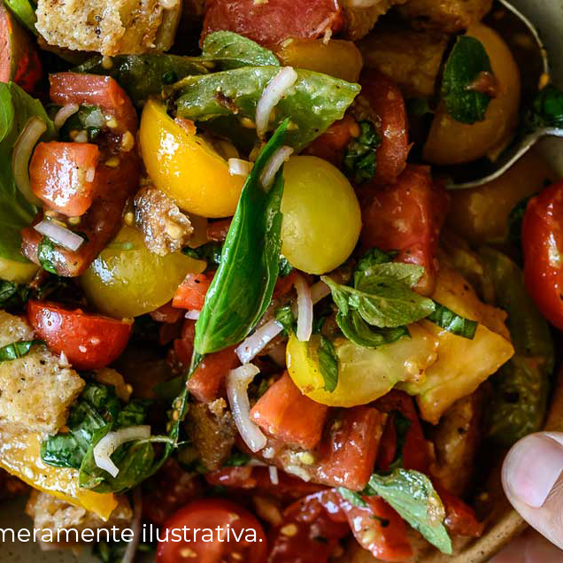 19646_SALADA-PANZANELLA_original