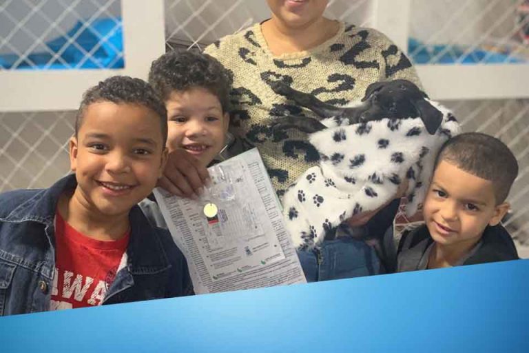 Blog_Andorinha_03