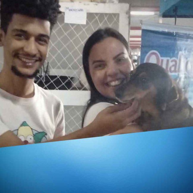 Adocao_Andorinha_00