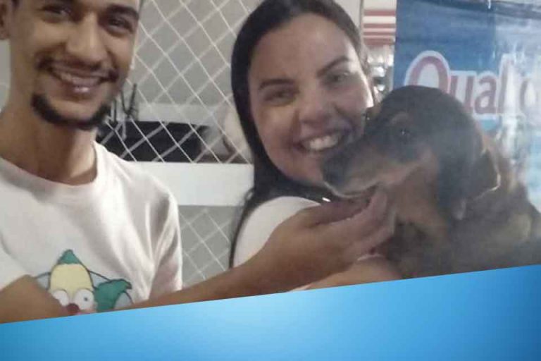 Adocao_Andorinha_00