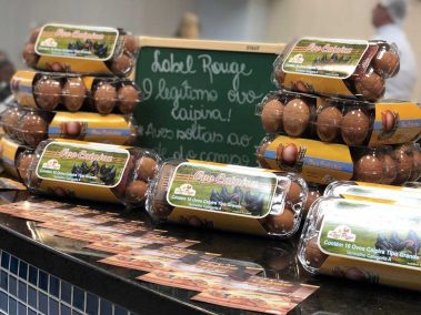 Andorinha Curso Porto Alimentos