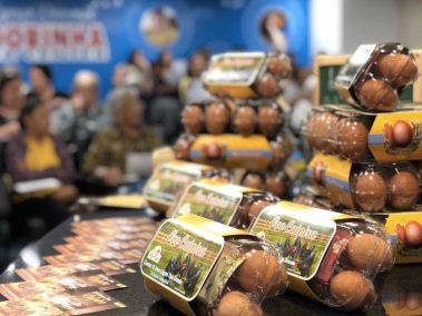 Andorinha Curso Porto Alimentos