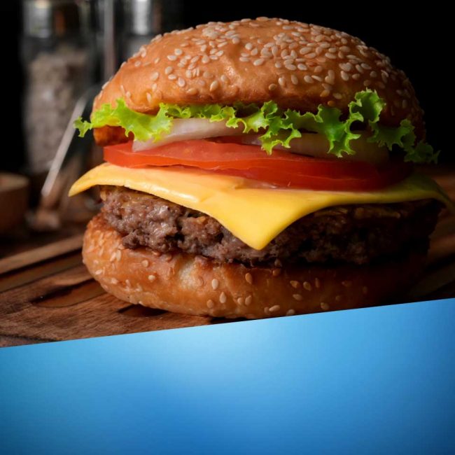 Blog_Andorinha_hamburger