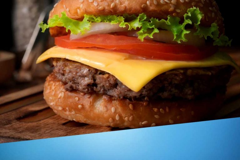 Blog_Andorinha_hamburger